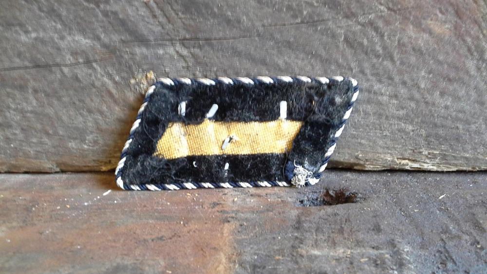 20150625_175953.thumb.jpg.d8149229871255