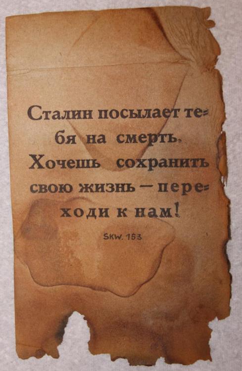 DSC06086.thumb.JPG.feee1c5da967e9ed2d12c