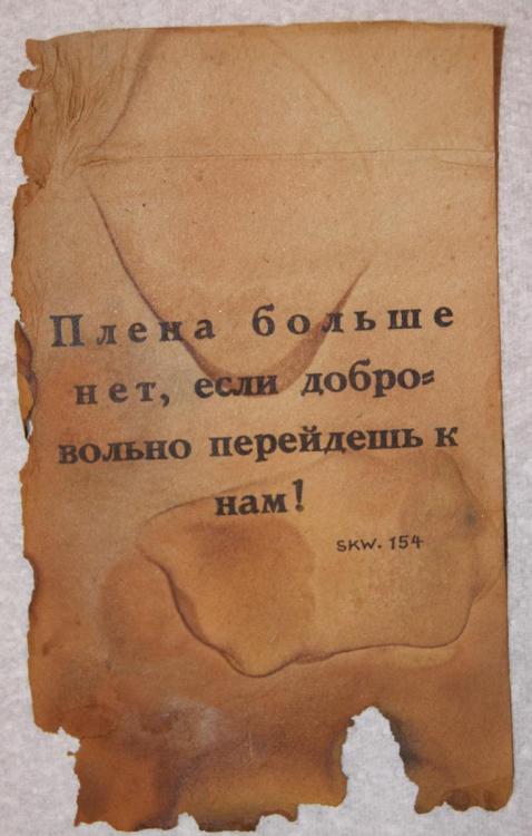 DSC06087.thumb.JPG.b4a72e3c0f42985fabfe8