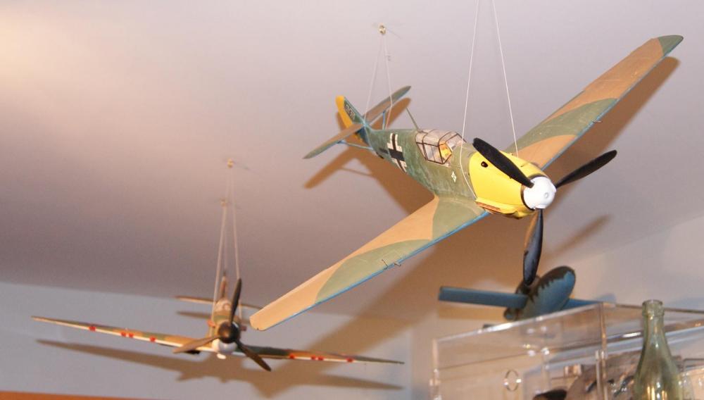 DSC08042.thumb.JPG.cac7b132d3554b22c5f83