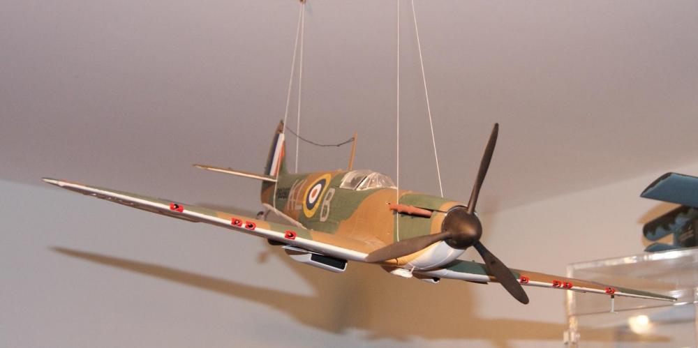 DSC08043.thumb.JPG.2095bc4f453965b5971ae