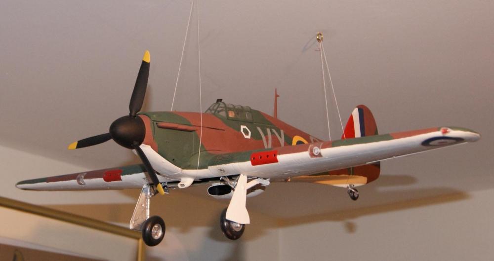 DSC08045.thumb.JPG.6bbd2ad594d73f4aaca79