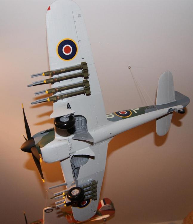 DSC08048.thumb.JPG.d7ff7b878976fe0b56b5a