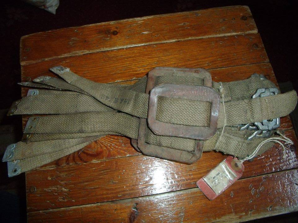 12804126_10207165663873573_445261272_n.j