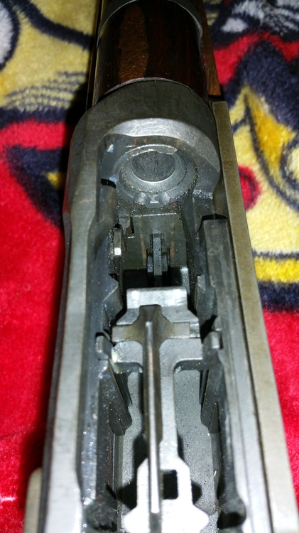 FB_IMG_1456699009233.thumb.jpg.efb591ec9