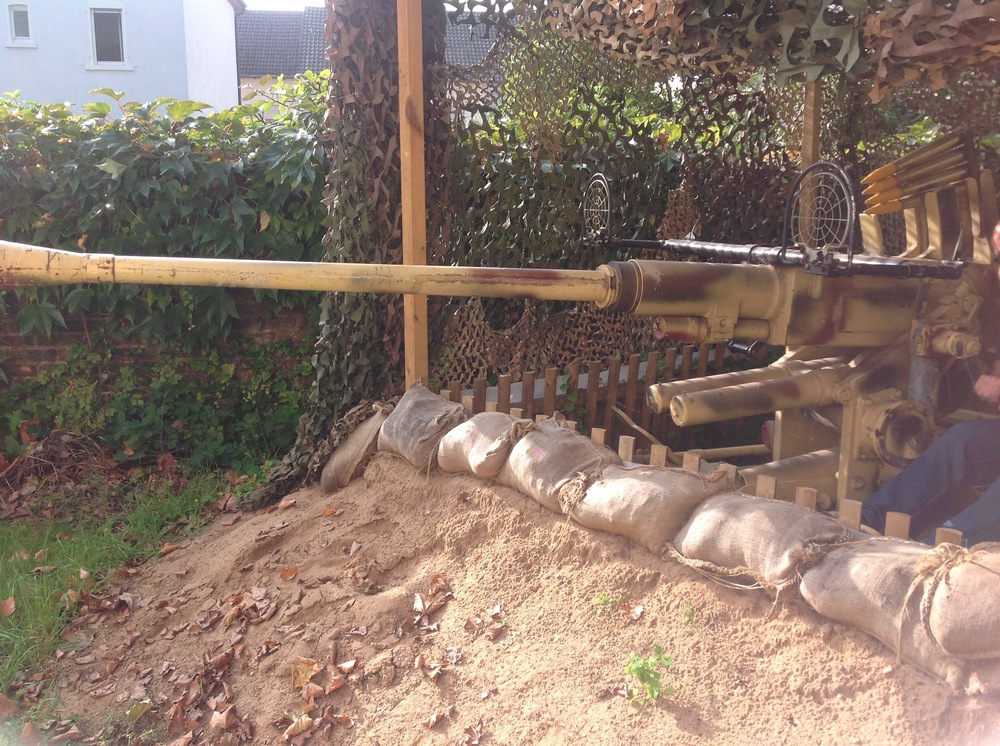 IMG_0976.thumb.jpg.c8279ab6eac44141155ac