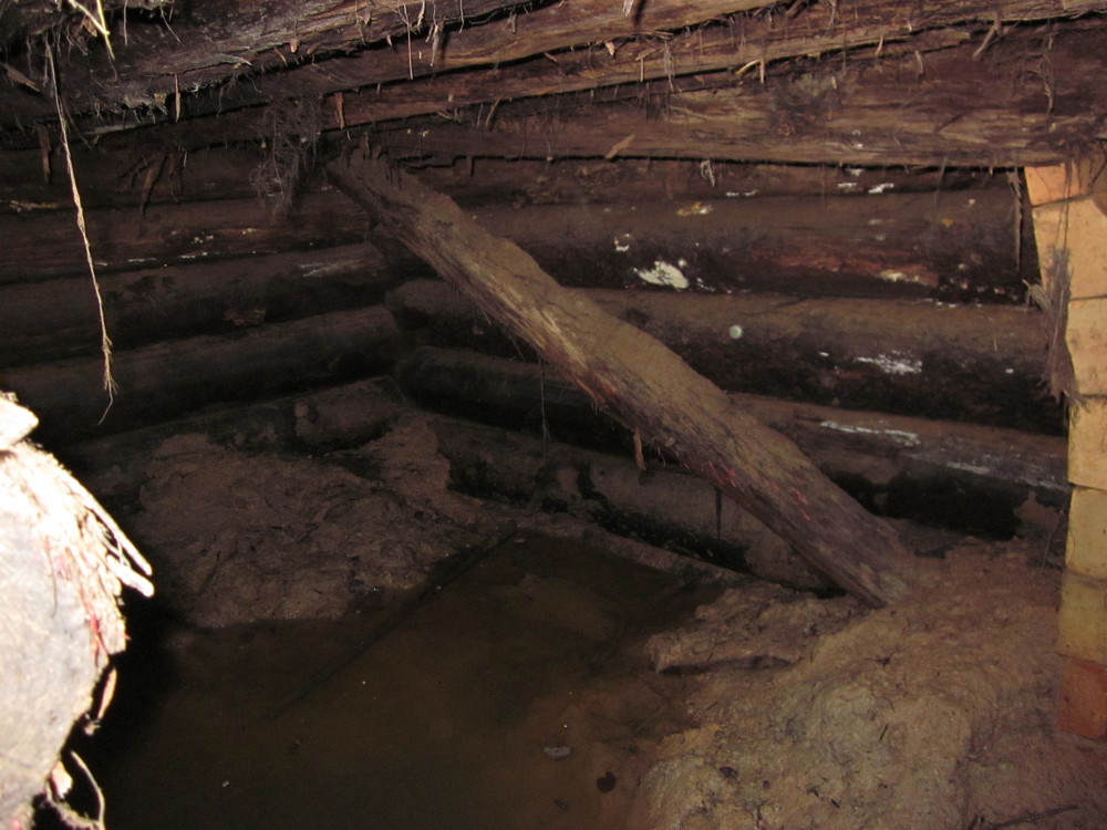 IMG_3141.thumb.JPG.9467cc55ad1ed9adbff83