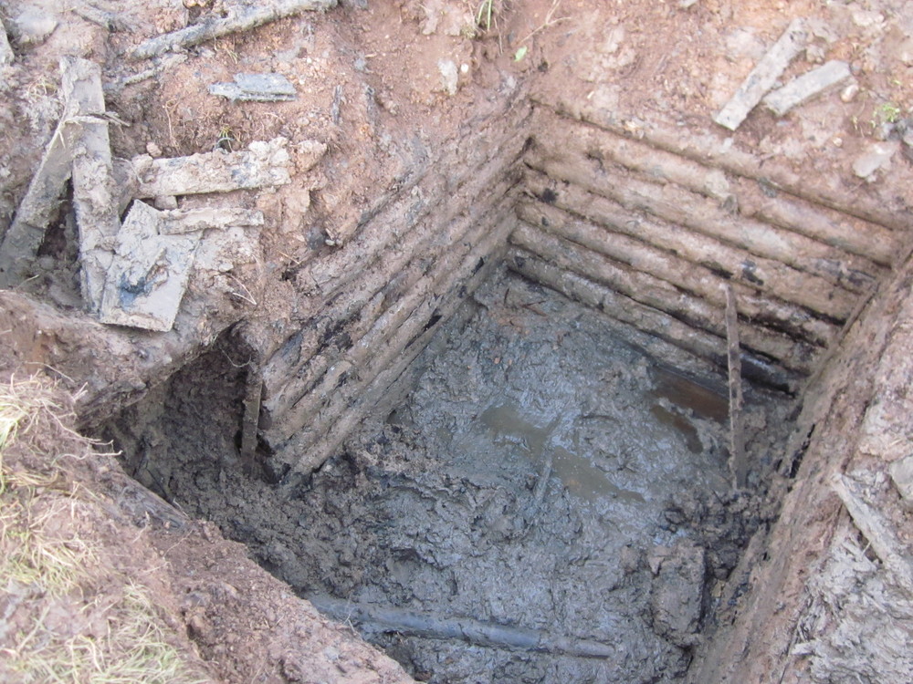 IMG_3176.thumb.JPG.039cfed469f999d9af800