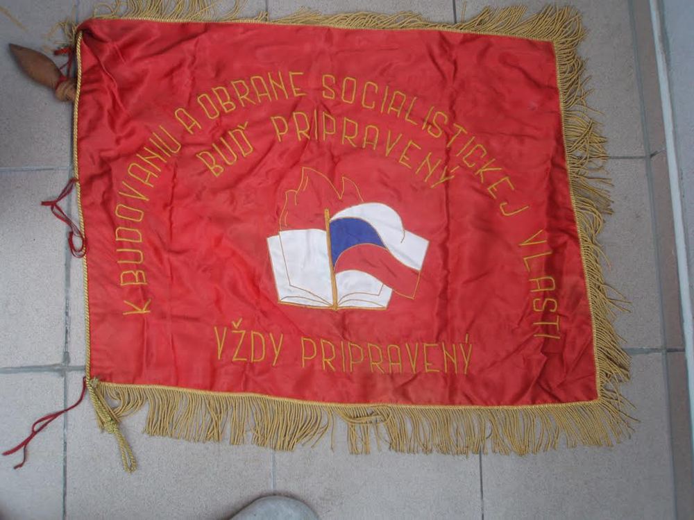 YoungPioneerFlag.thumb.jpg.39c07094c04f8