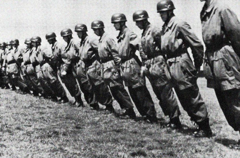 image.thumb.jpeg.06d7c3185fa960fb03c4cd6