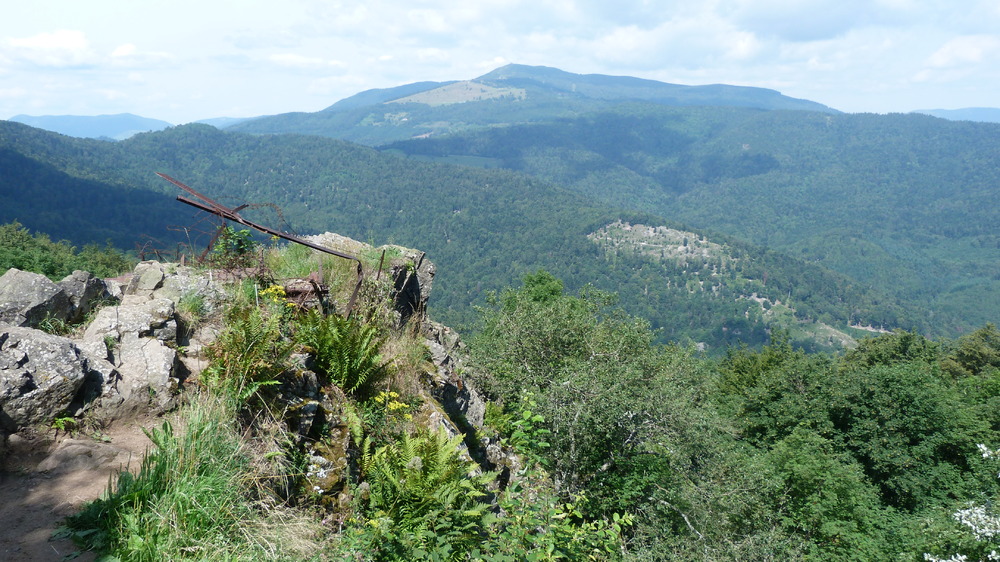 alsace 2014 (400).JPG