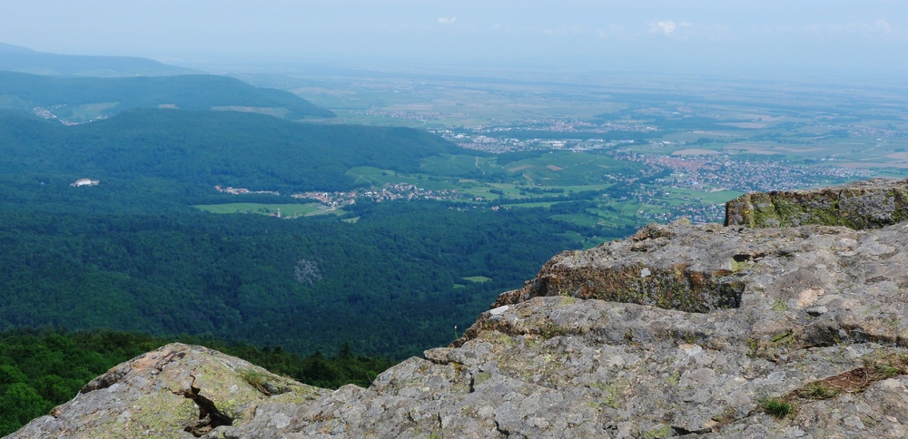 alsace 2014 (433).JPG