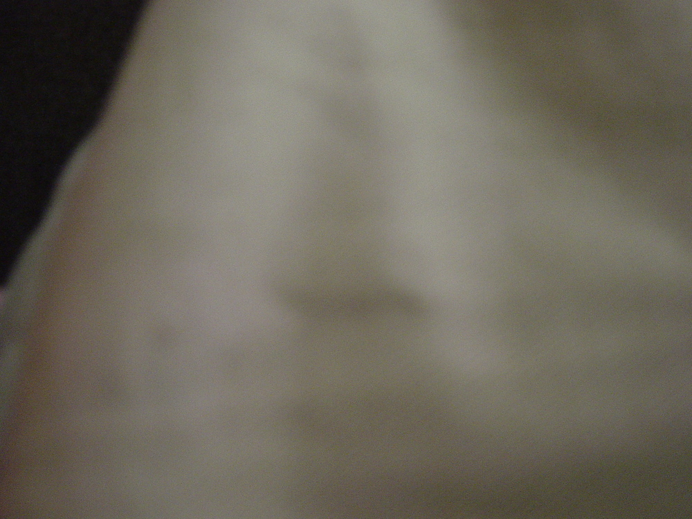 DSC00020.JPG