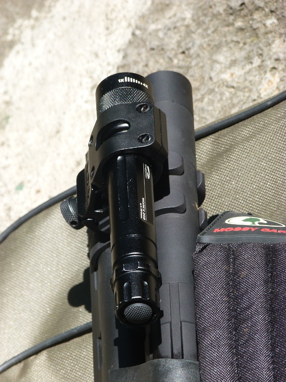 P1130862.JPG