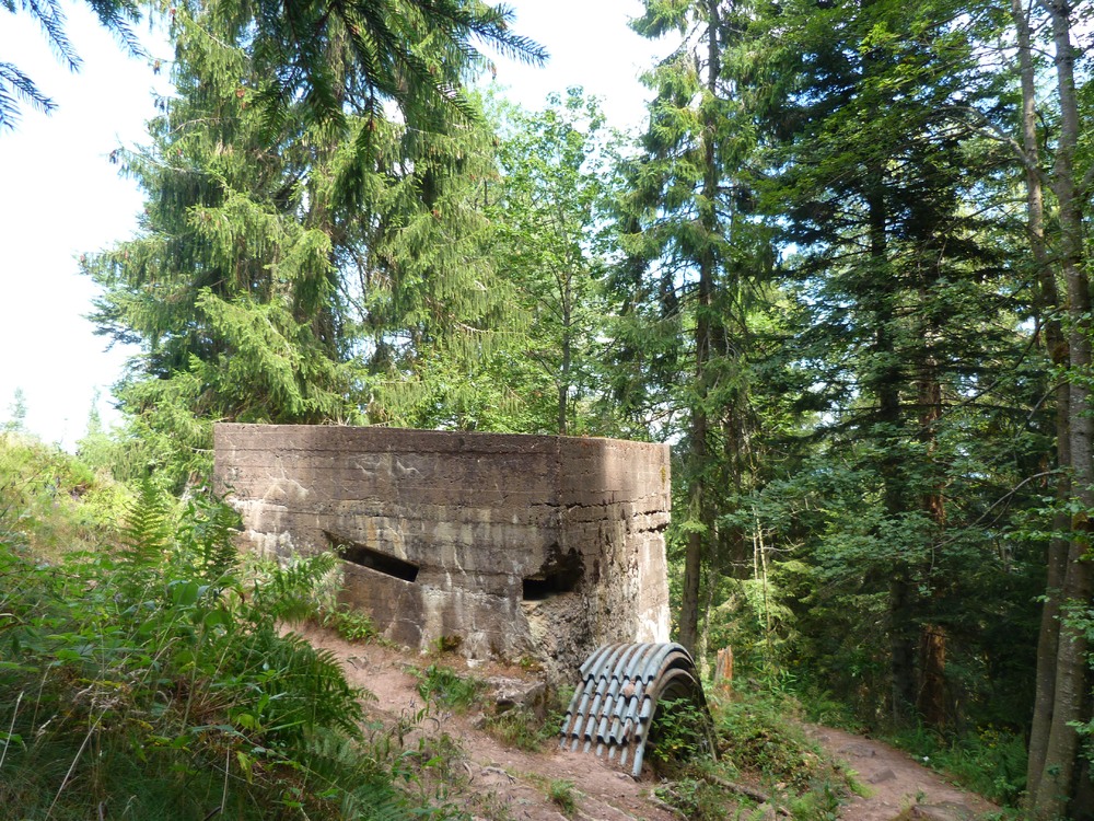 P1150567.JPG