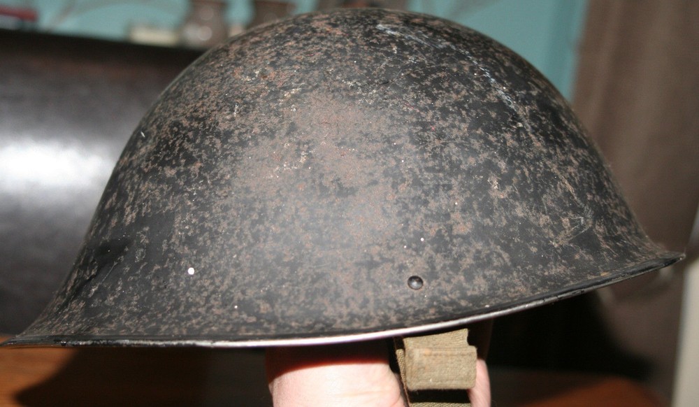 turtle1.jpg