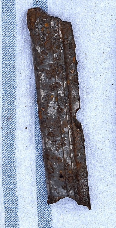 DSC_1598.JPG