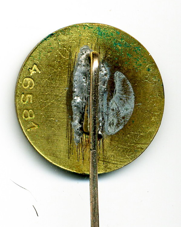 Golden Party Badge - No 46581- Reverse.jpg