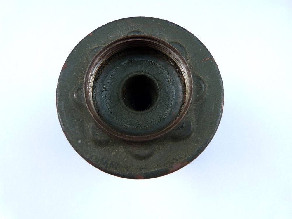 P1010873 (Medium).JPG