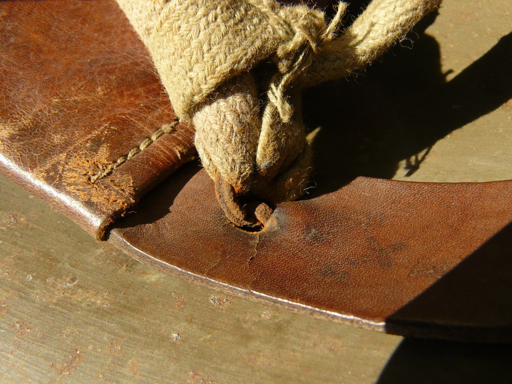 P1070554.JPG