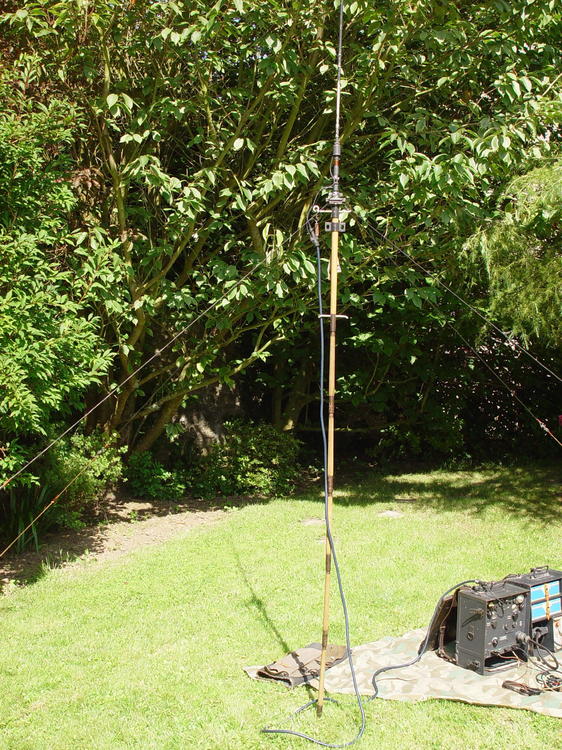 DSC01250.JPG
