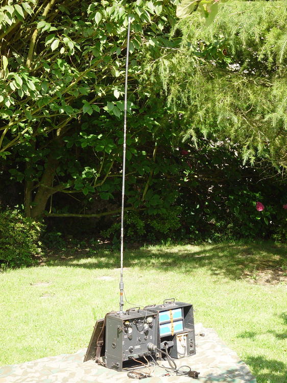 DSC01253.JPG