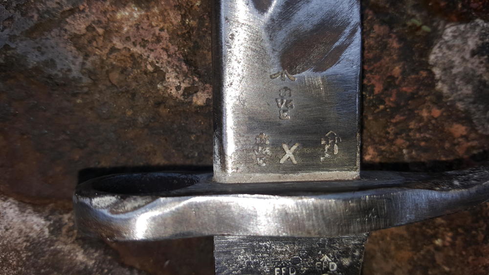 20190623_103441.jpg