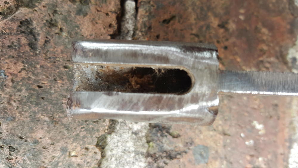 20190623_103522_001.jpg