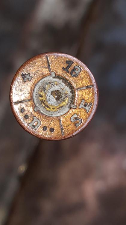 20190623_103611.jpg