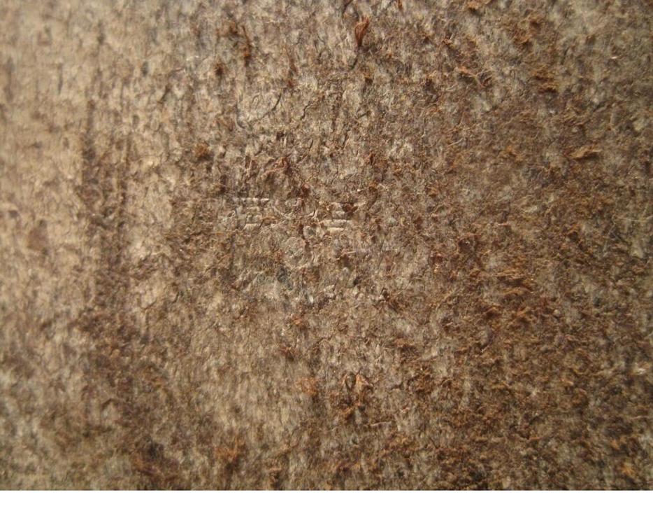 2069772494_klauenbeil9.thumb.jpg.e4842c31aa416f673c4abcfd36a26ef9.jpg