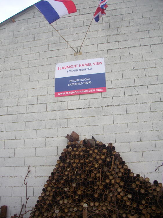 IMGP6243.JPG