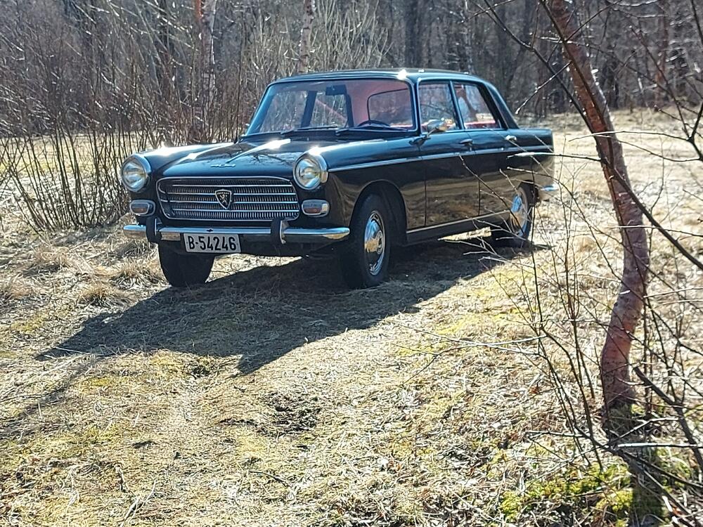 20210417_125219.jpg
