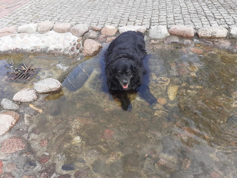 bruno5.jpg
