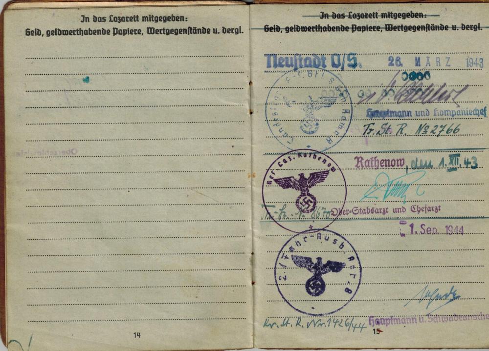 p15.jpg
