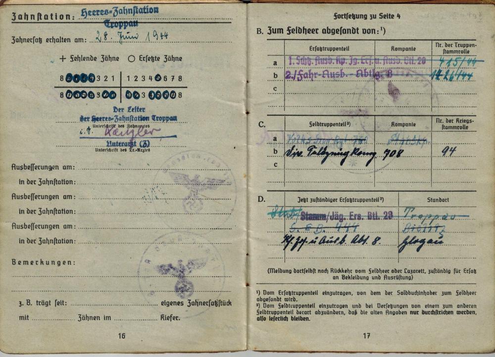 p17.jpg
